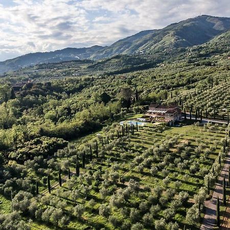 Ampio Appartamento Completamente Rinnovato Con Vista E Piscina Lucca Luaran gambar